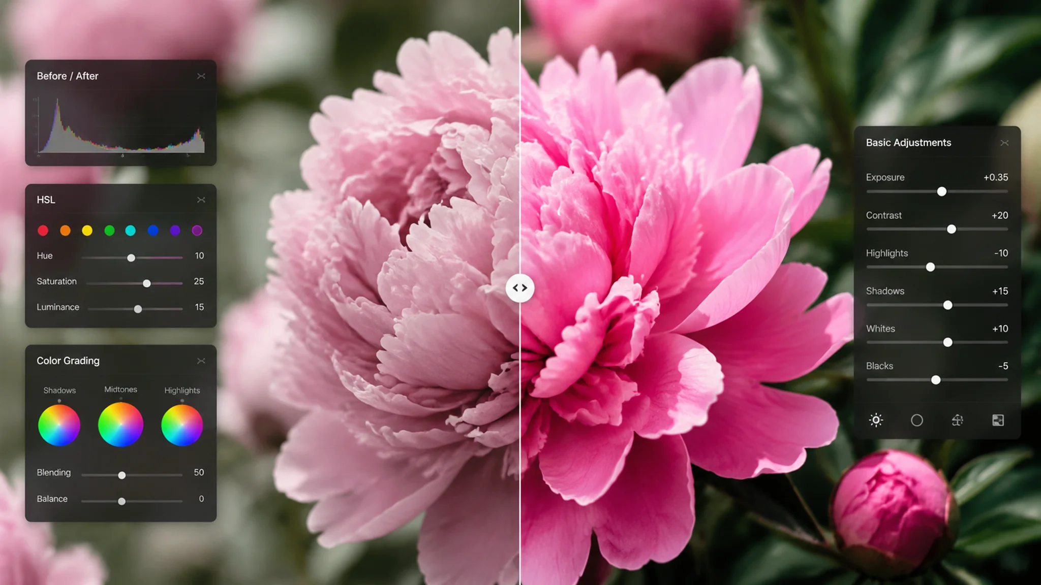 花卉修图AI：花卉摄影的后期