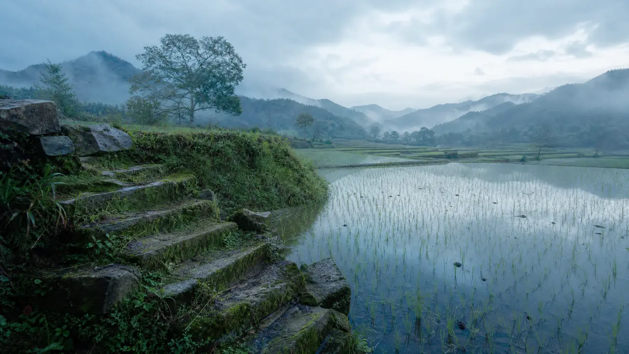 青青ai绘画出青色调：秧田、青苔、麦青三组词，让草木绿带上一点蓝